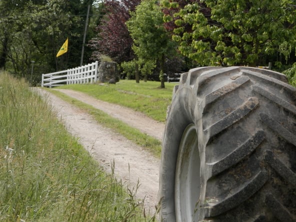 Le zucche dell'Agricola