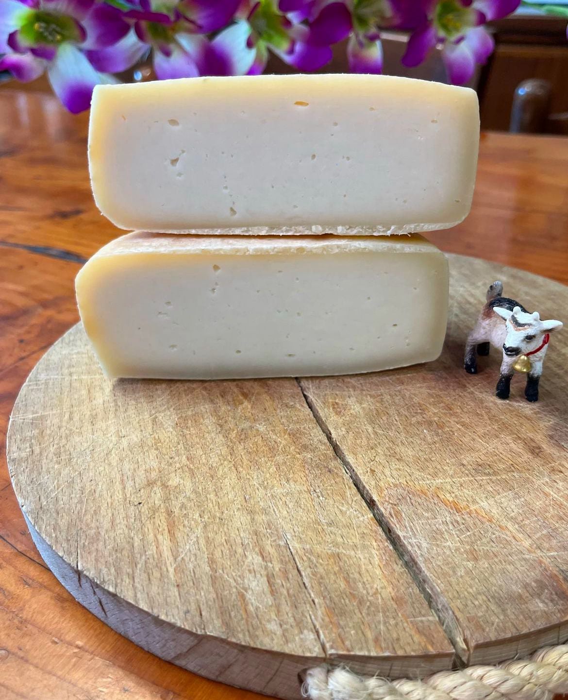 Valleggio di latte di mucca